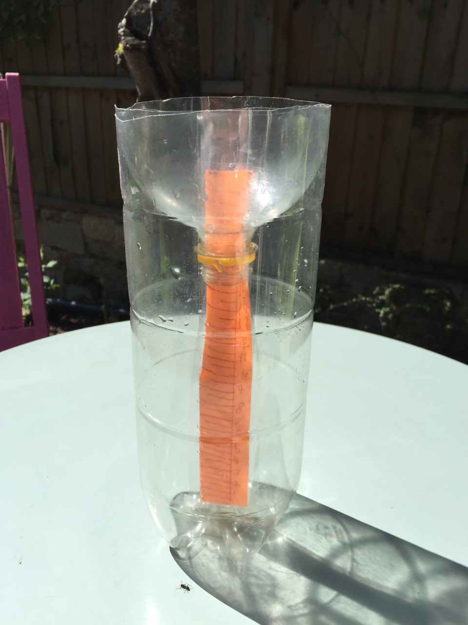 Remember to look at your rain gauge today!
