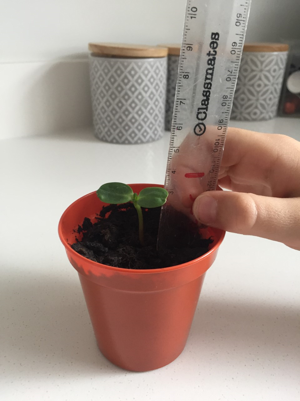 Can anyone beat 3cm?